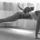 Push Ups