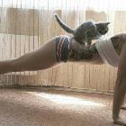 Push Ups