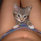 Pussy