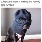 Put The Treats In The Bag
