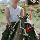 Putin Swastica