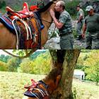 Putins Kiss