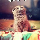 Qua