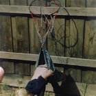 Quick Honey Get The Camera