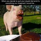 Quitting Your Stupid Diet