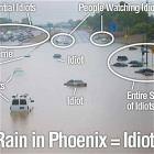 Rain Idiots