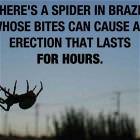 Random Fun Facts Picdump 24