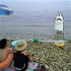 Rarr Shark