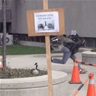 Read The Sign