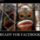 Ready For Facebook