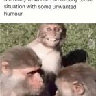 Ready To Make It Worse