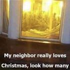 Really Likes Christmas
