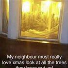 Really Loves Christmas