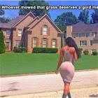 Really Nice Grass
