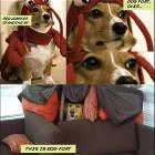 Red Lobster