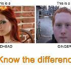 Redhead Vs Ginger