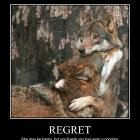 Regret