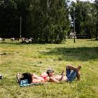 Relax