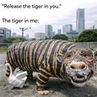 Release The Tiger