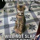 Remain Calm