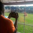 Remote Control Lawn Mower