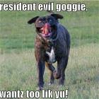 Resident Evil Doggie