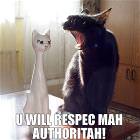 Respect My Authoritah