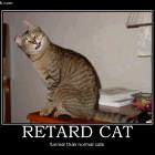 Retard Cat