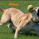 Retard