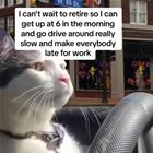 Retire
