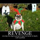 Revenge