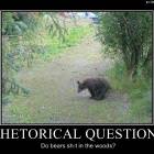 Rhetorical Questions