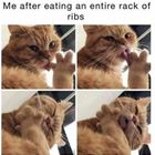 Ribs