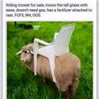 Riding Mower
