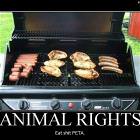 Rights