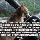 Road Rage Cat