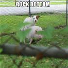 Rock Bottom