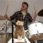 Rock Star Cat