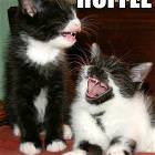 Roffle