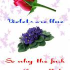 Roses Are Red