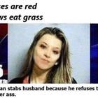 Roses Are Red