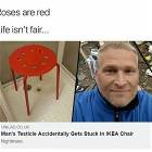 Roses Are Red Life Is Not Fair