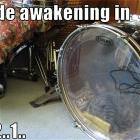 Rude Awakening
