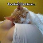 Rulers Of The Internet