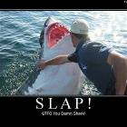 S L A P