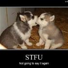 S T F U