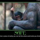 Safe