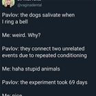 Salivate