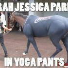 Sarah Jessica Parker Yoga Pants