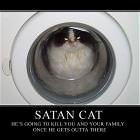 Satan Cat